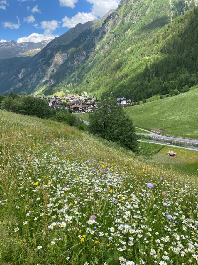 Apart Wiesenplatzl Kaunertal Extérieur photo